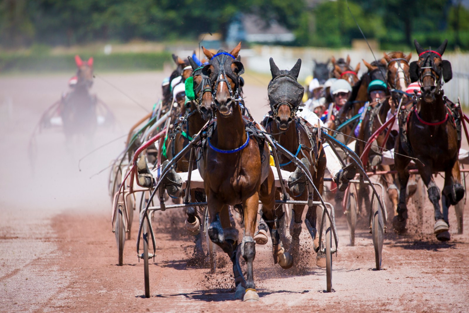 Comment gagner de l’argent en jouant au PMU