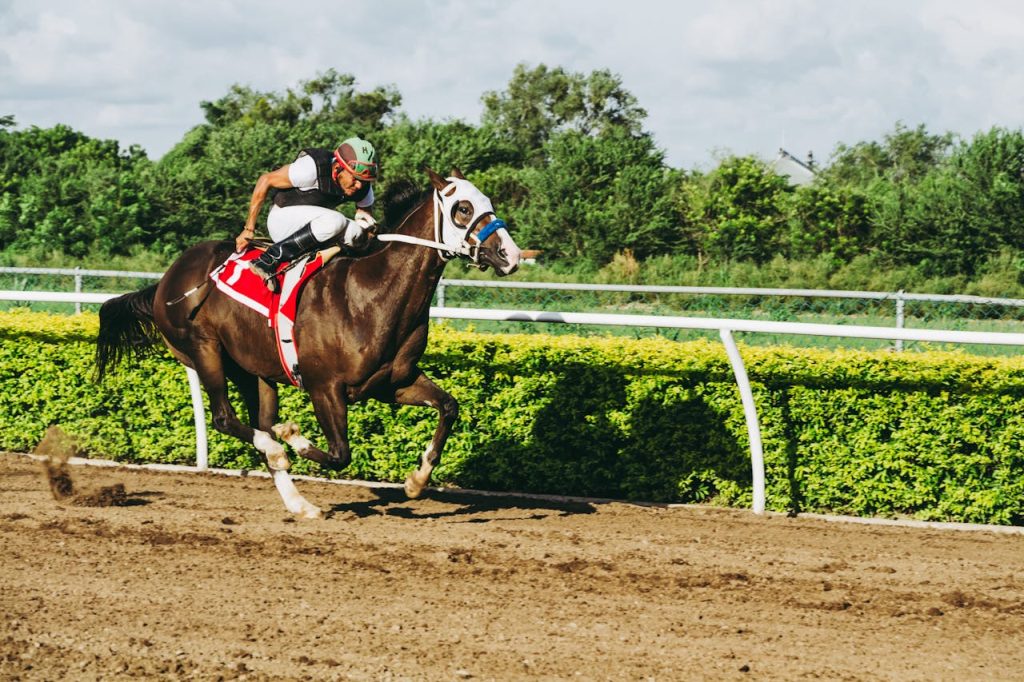 Course de cheval 